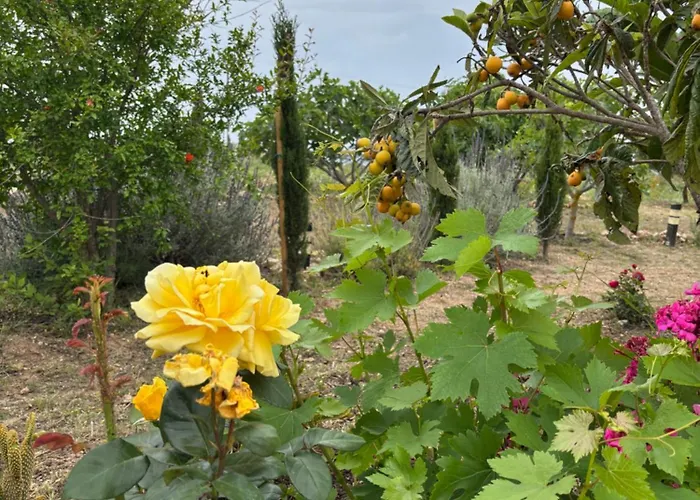 Phos וילה קאטהיקאס